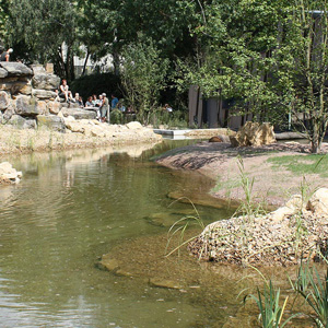 Katta-Insel, Zoo Dresden, Foto 4