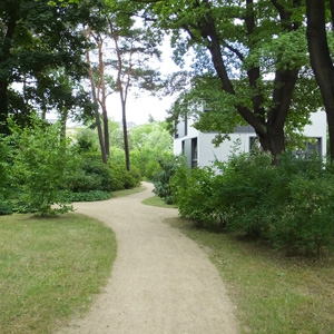 Pflege Musikgymnasium, Foto 4