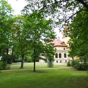 Pflege Musikgymnasium, Foto 5