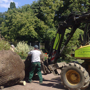 Katta-Insel, Zoo Dresden, Foto 1