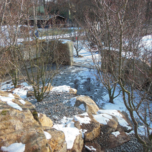 Surikatenanlage im Zoo Dresden