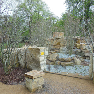 Surikatenanlage im Zoo Dresden