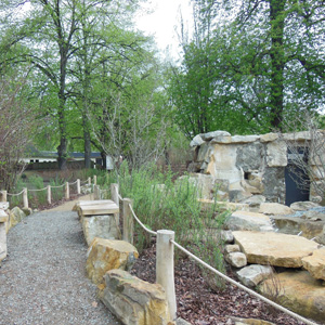 Surikatenanlage im Zoo Dresden