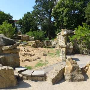 Surikatenanlage im Zoo Dresden